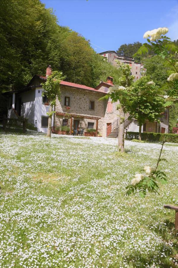 Il Molino Di Serravalle Bibbiena Kültér fotó
