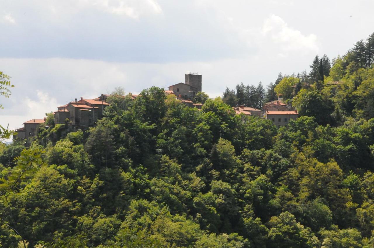 Il Molino Di Serravalle Bibbiena Kültér fotó